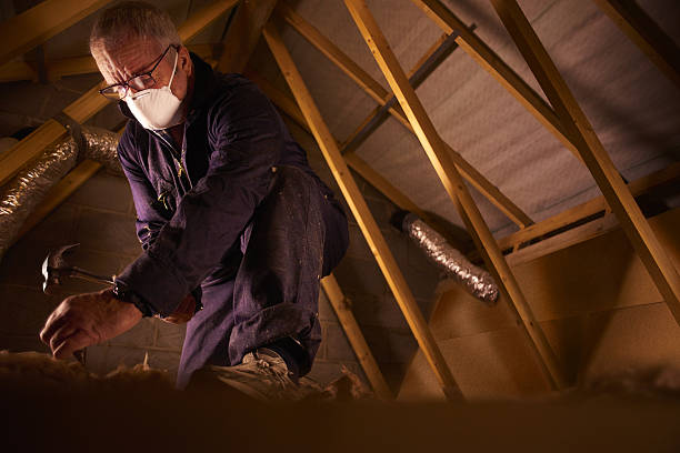 Types of Insulation We Offer in Lakeview Estates, GA